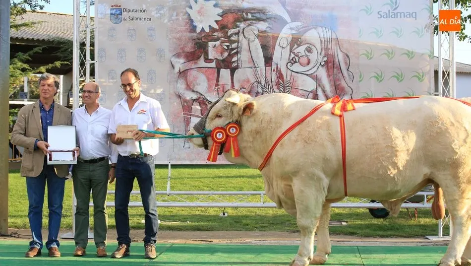 El ganadero salmantino Alberto Martín, junto a Javier Iglesias, gran triunfador del concurso de la raza charolesa en machos. Fotos: Alberto Martín