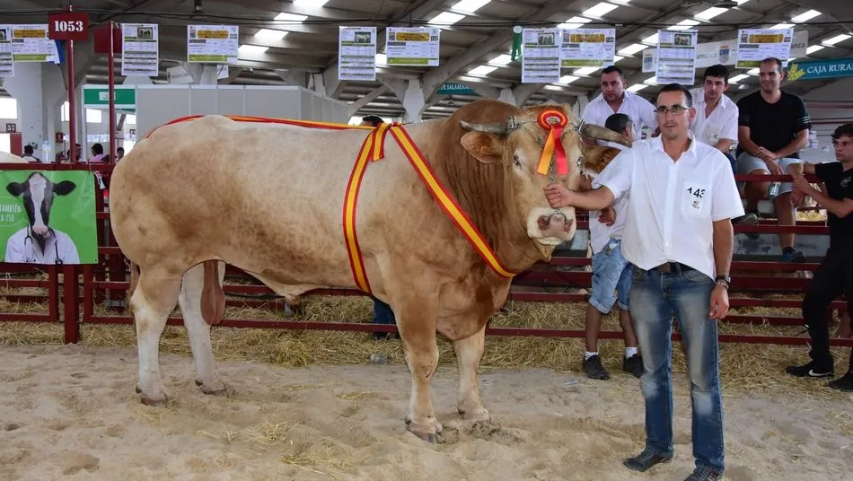 ‘Ión’ de Jesús Pérez, de Cantabria, como gran campeón de Blonda