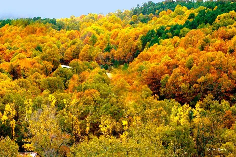 Un otoño de colores