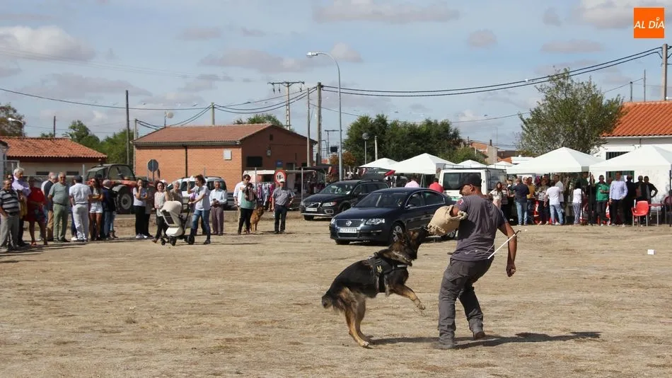El público podrá presenciar diversas demostraciones, entre ellas, la de adiestramiento en defensa / Archivo