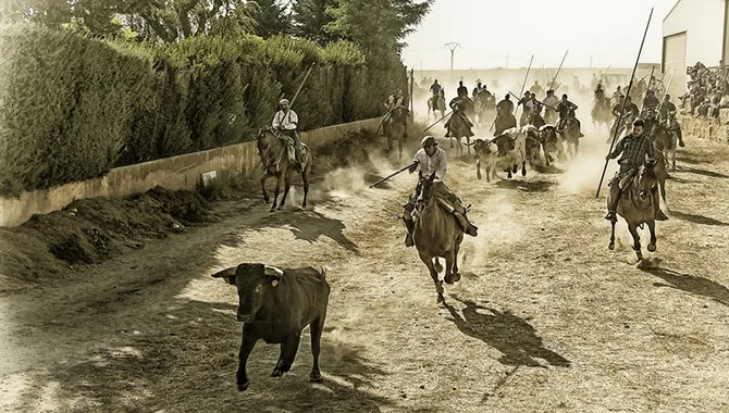 La fotografía Enfilando ha conseguido el primer premio en el Concurso de Fotografía Taurina San Roque 2018 de Macotera