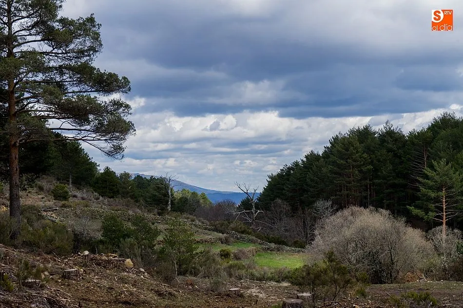 La actividad se llevará a cabo en plena Sierra de Francia