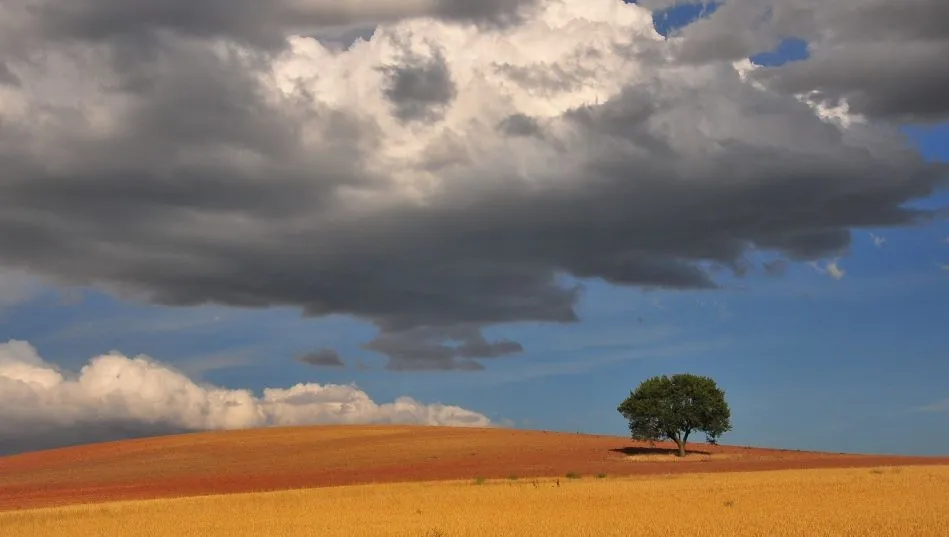 Últimas tardes estivales