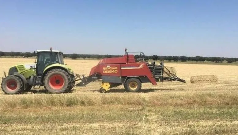 La alfalfa empacada puso el único dato positivo a la jornada
