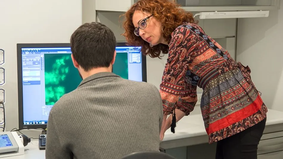 Hasta la fecha, se desconoce cuáles son los primeros eventos patológicos que desencadenan la aparición de DMAE.