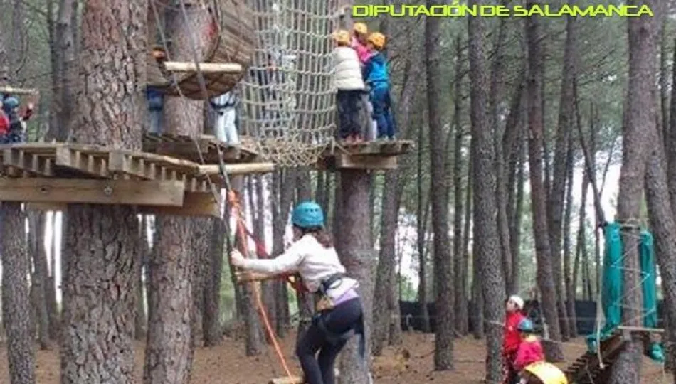 Extracto del cartel anunciador de la actividad.