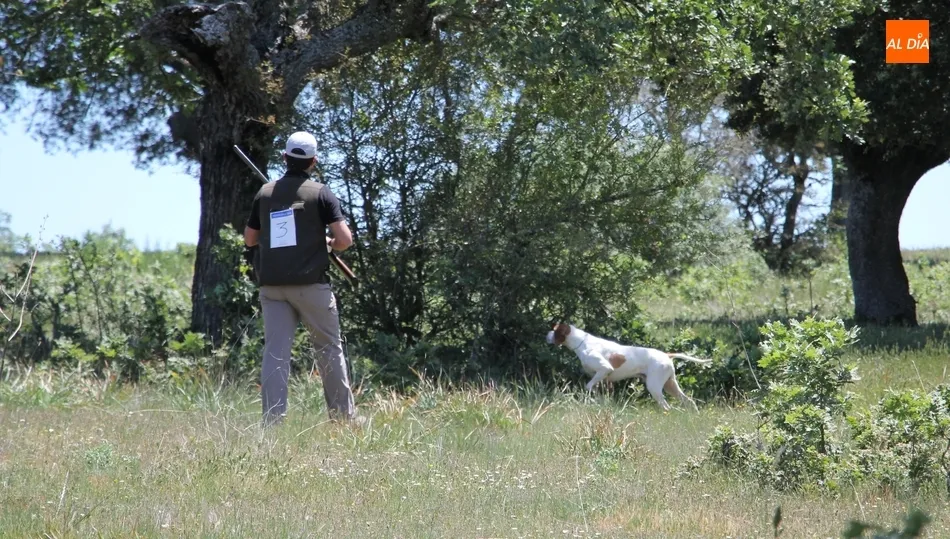 Prueba de San Huberto  /  CORRAL