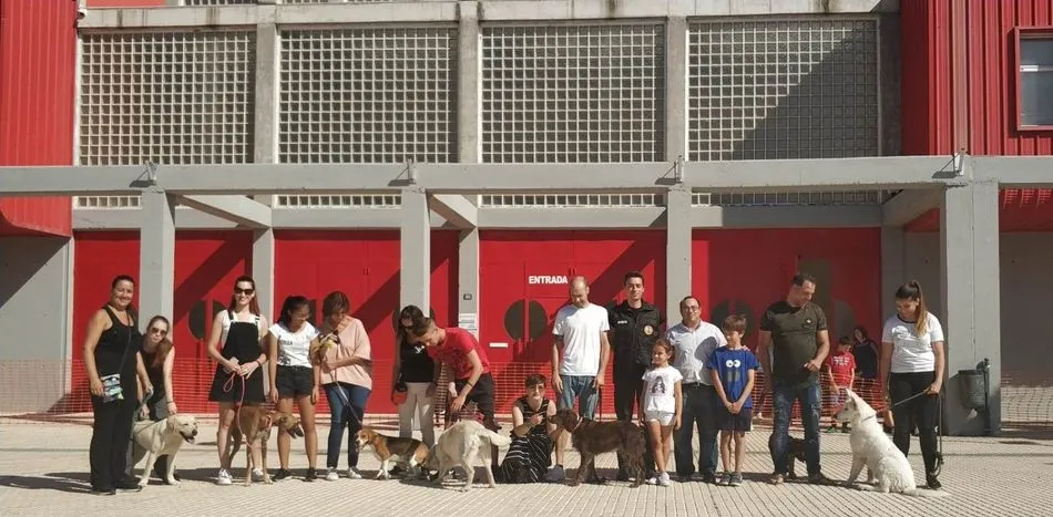 Curso de adiestramiento canino en Villares de la Reina