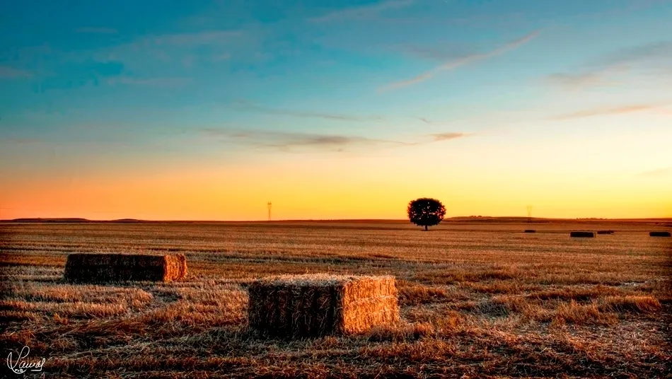 El Oeste… de la Armuña