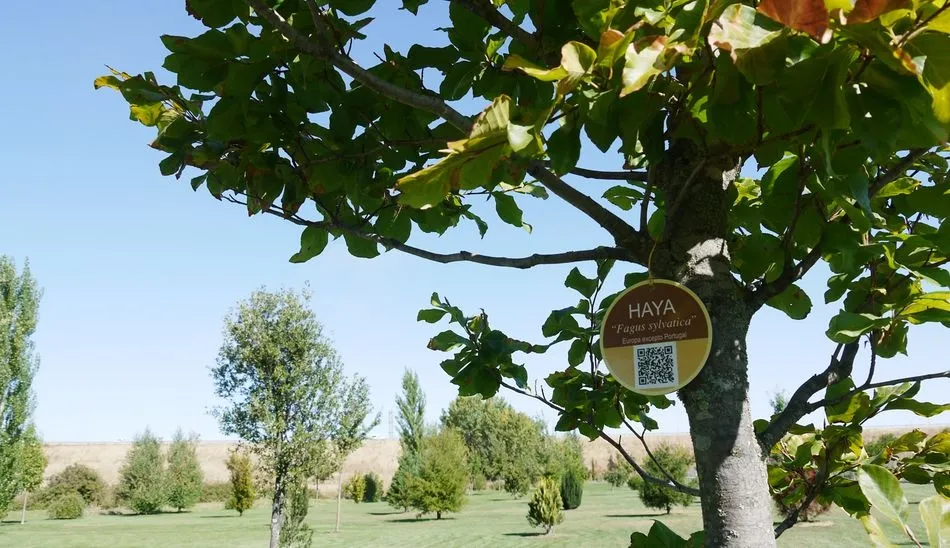 Señalización de las diferentes especies