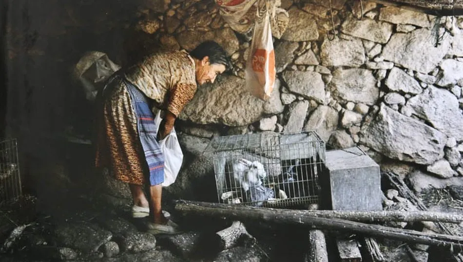 Una de las imágenes de la exposición