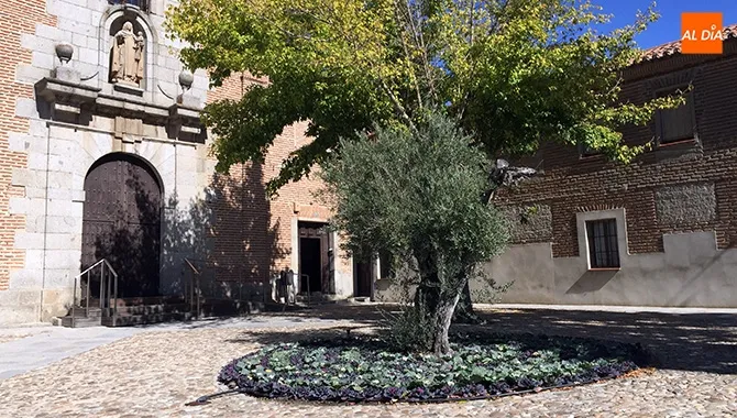 El Ayuntamiento esta realizando la plantación de 5000 plantas de temporada en lugares como el atrio de la iglesia de las Madres Carmelitas