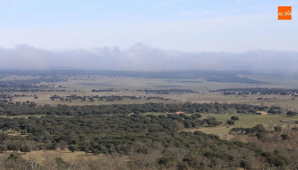 Los agricultores y ganaderos comienzan a recibir los anticipos de la PAC. Fotos: Alberto Martín