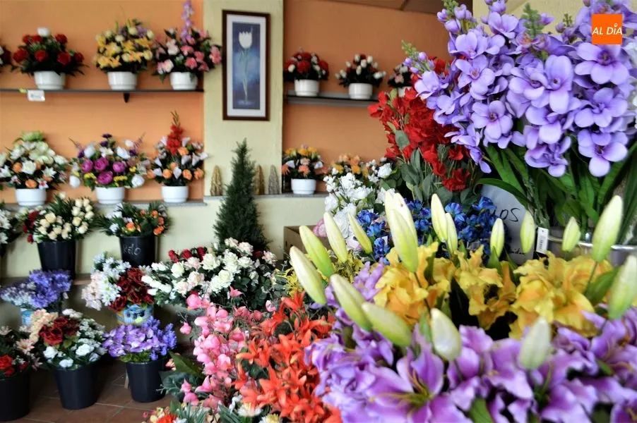 Encuentra su sede en la calle Van Dick, 6.