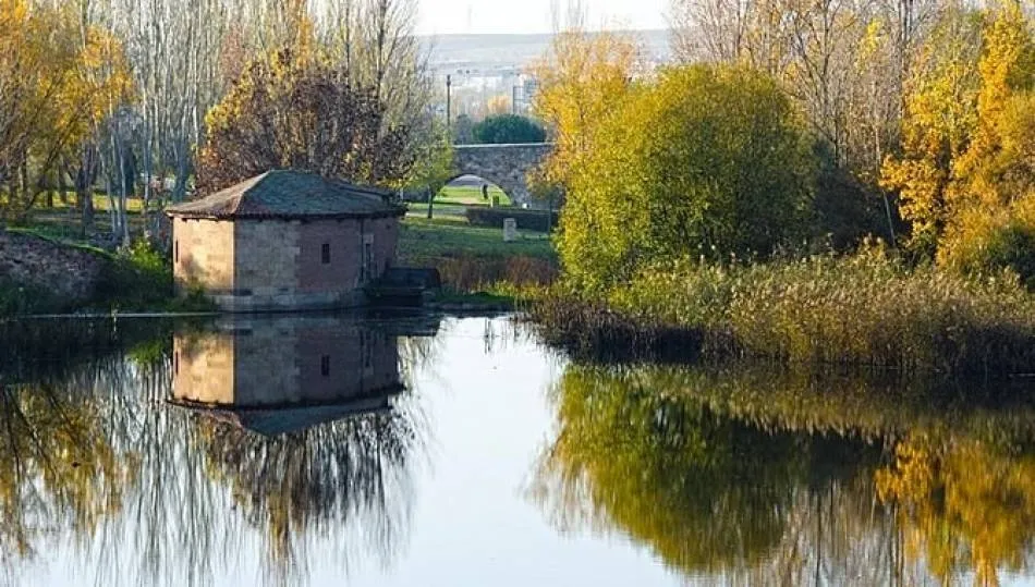 Otoño en la ribera del Tormes. Foto: Manuel Lamas