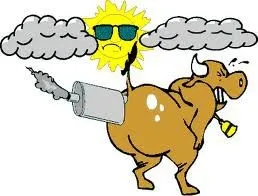 Coches, rumiantes y contaminantes