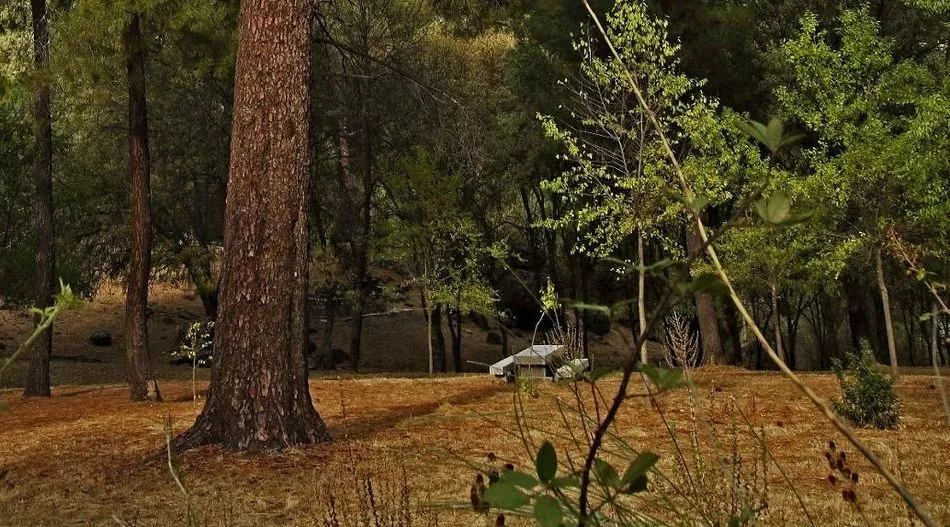 La Junta promociona en Madrid la oferta de turismo de naturaleza