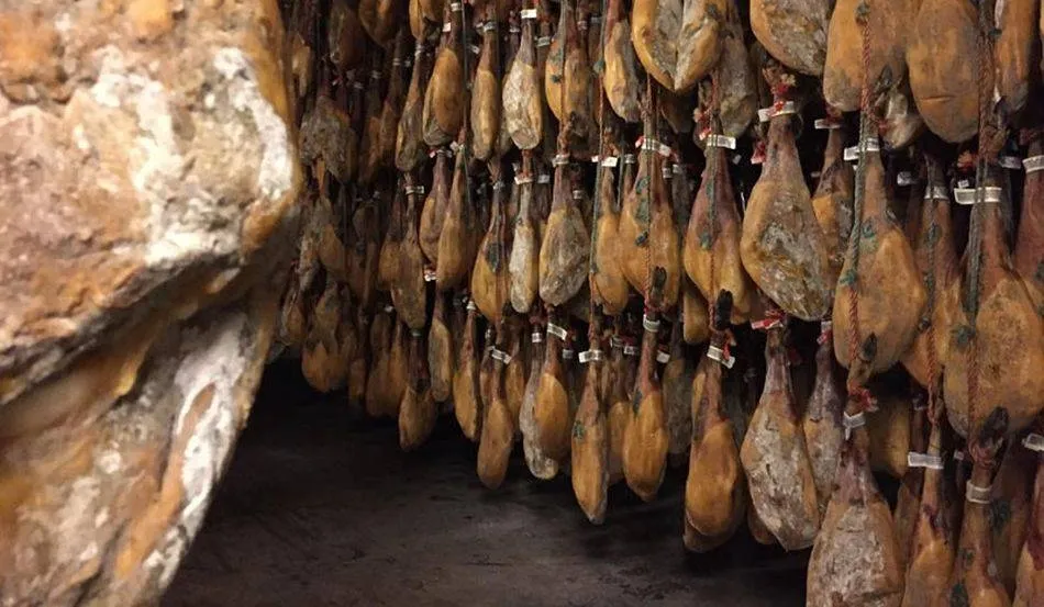 Estas subvenciones servirán para financiar inversiones en maquinaria, instalaciones y equipos, así como los gastos de ingeniería inherentes a los proyectos de inversión