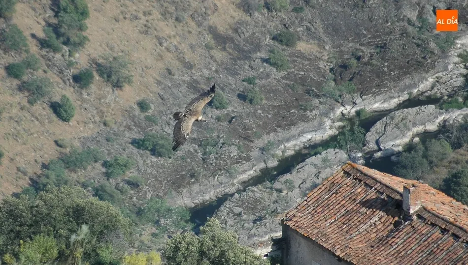 El objetivo del proyecto es poner en valor los recursos turísticos de la zona y la viabilidad económica del sector