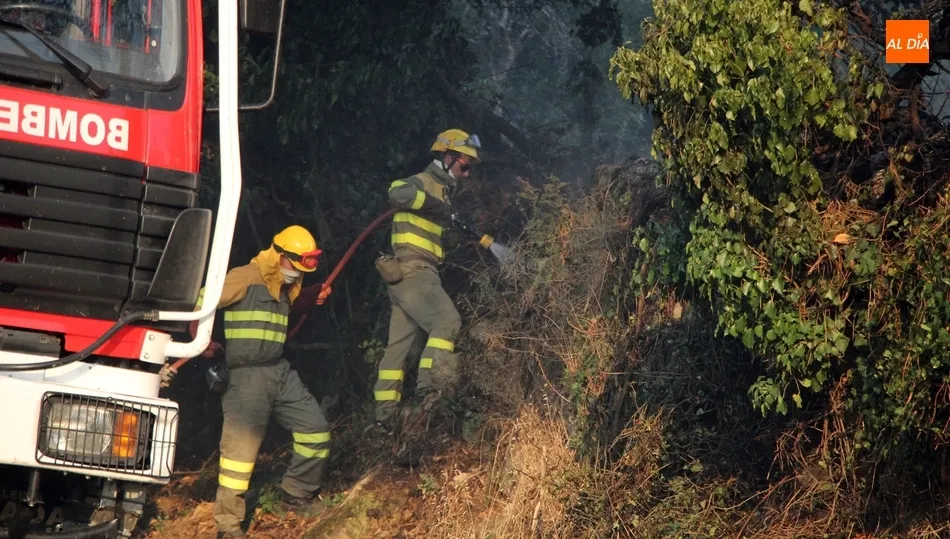 La superficie forestal quemada ha sido de 2.730 hectáreas, lo que supone un descenso del 86 % respecto a la media del último decenio