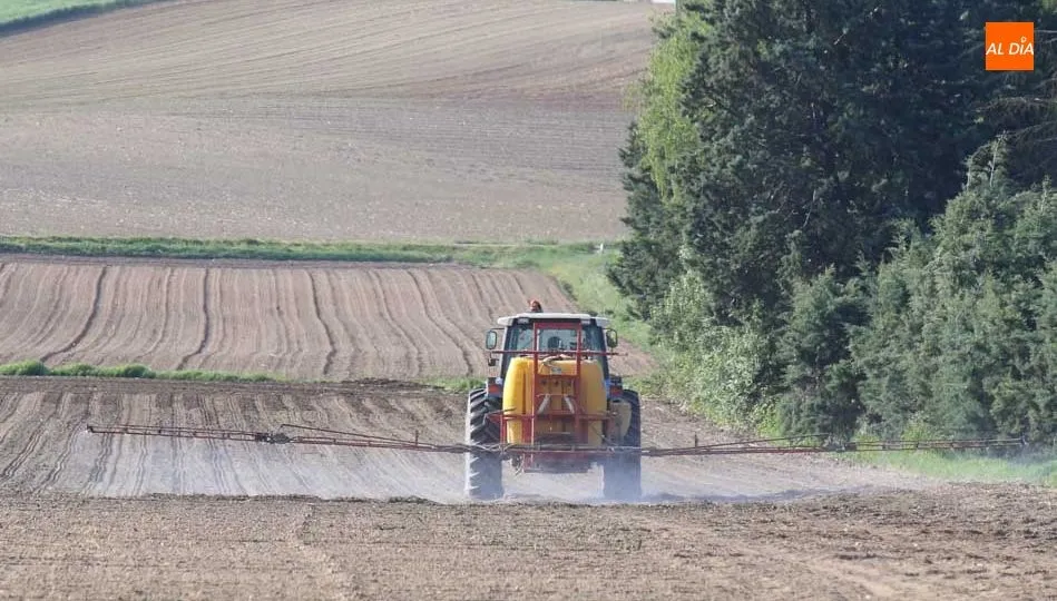 El precio del carburante ha subido un 31%, pasando de 0,61€/l en junio de 2017 a 0,88€/l. Foto: Alberto Martín