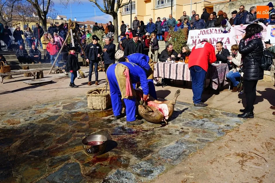 La Fiesta de la Matanza en la provincia se inicia mañana y finaliza el 23 de marzo