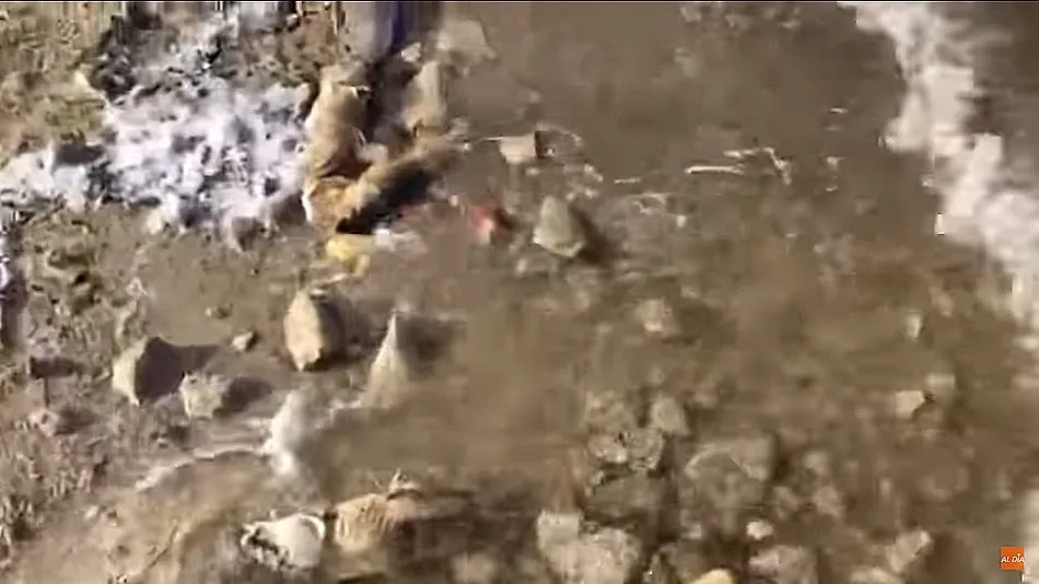 Foto You Tube archivo