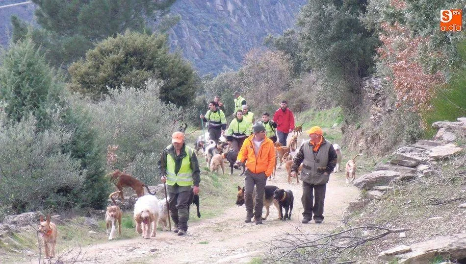 Las rehalas participantes varía entre 10 y 14