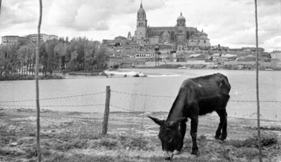 El burro, parte de la vida cotidiana en nuestro pasado