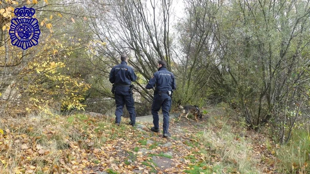 Guías caninos de la Policía Nacional durante las búsqueda de ayer