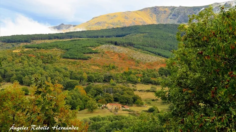 La protección del paraíso