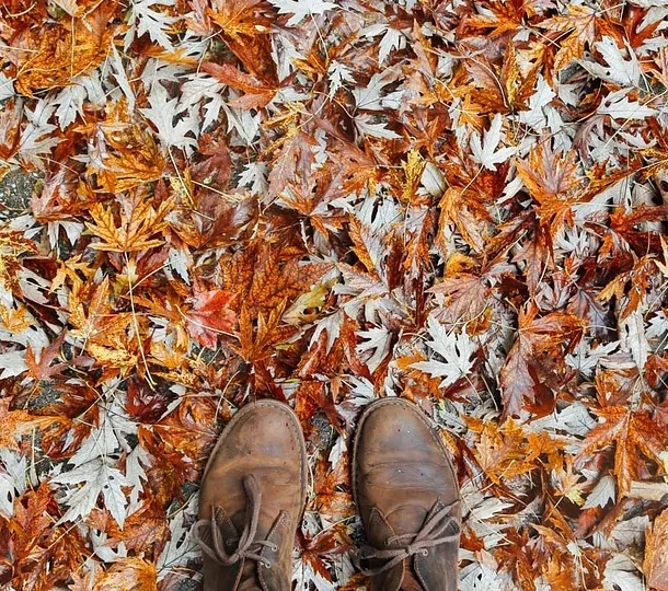 Otoño- estación melancolía