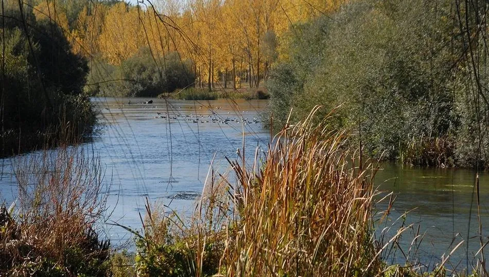 Tramo del río Tormes