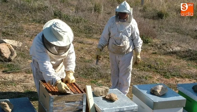 Compromiso del Ministerio para evitar el fraude en la miel