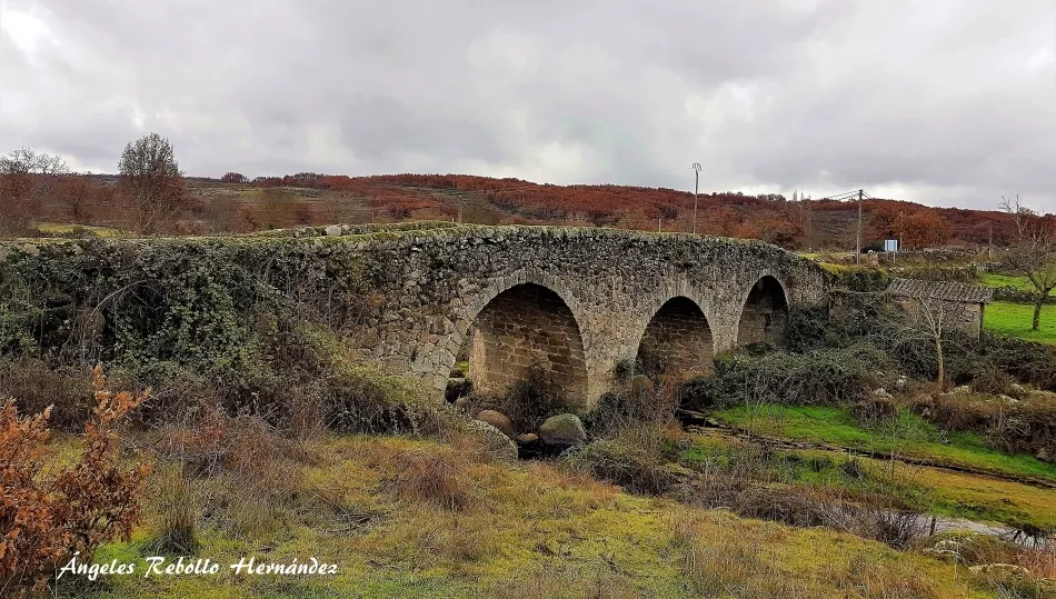 Un silencio de piedras