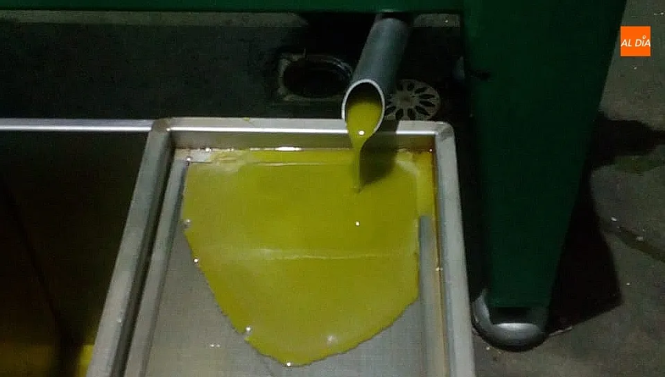 El aceite de oliva, el oro de las Arribes