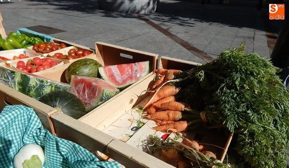 Frutas y verduras en el mercado de la plaza de San Justo