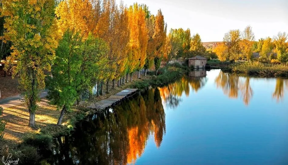 El trasvase podría afectar al regadío y a las zonas actuales de ocio del Tormes / MANUEL LAMAS