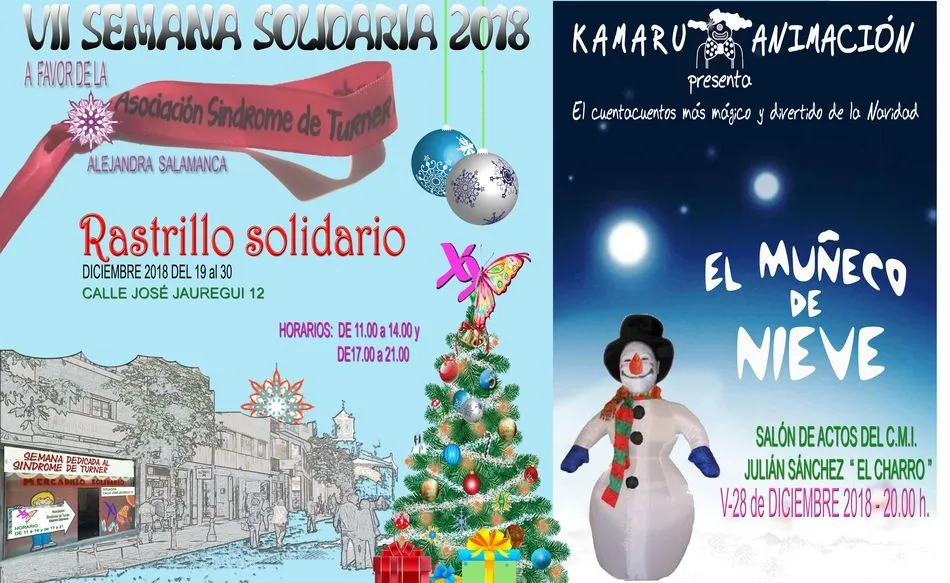 Mercadillo solidario y cuentacuentos a favor de la Asociación Síndrome de Turner Alejandra