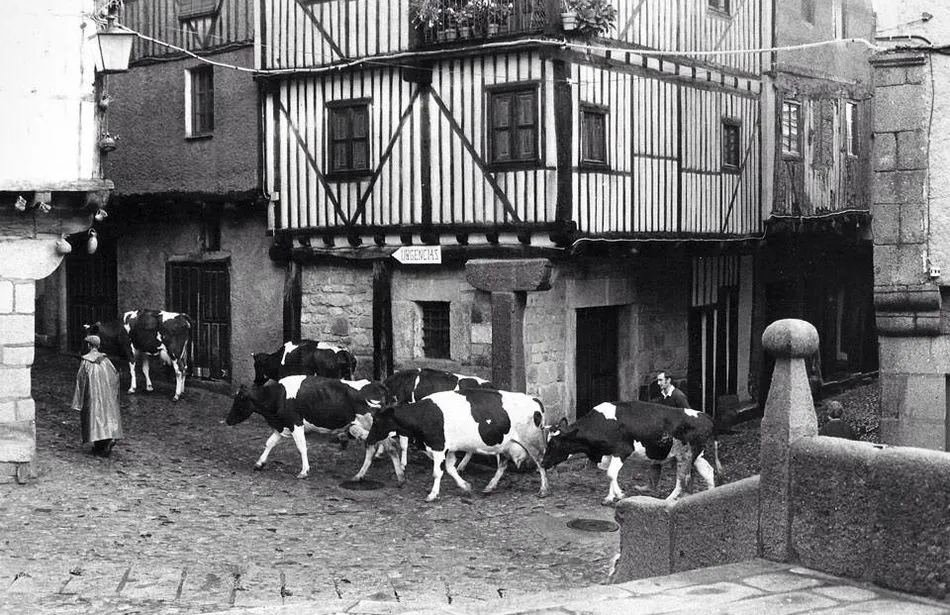 El humor no puede ser imputado