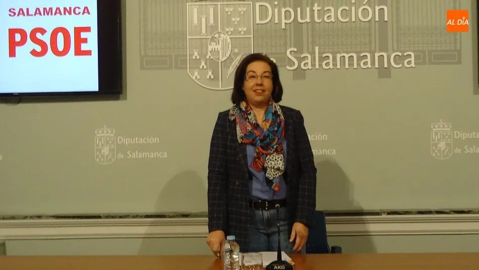 Carmen García, portavoz del Grupo Socialista en la Diputación