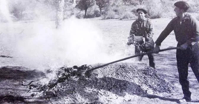 El cisco de encina, la calefacción de otros tiempos