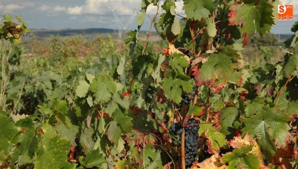 La actualización de la Orden facilita y agiliza los trámites de los expedientes