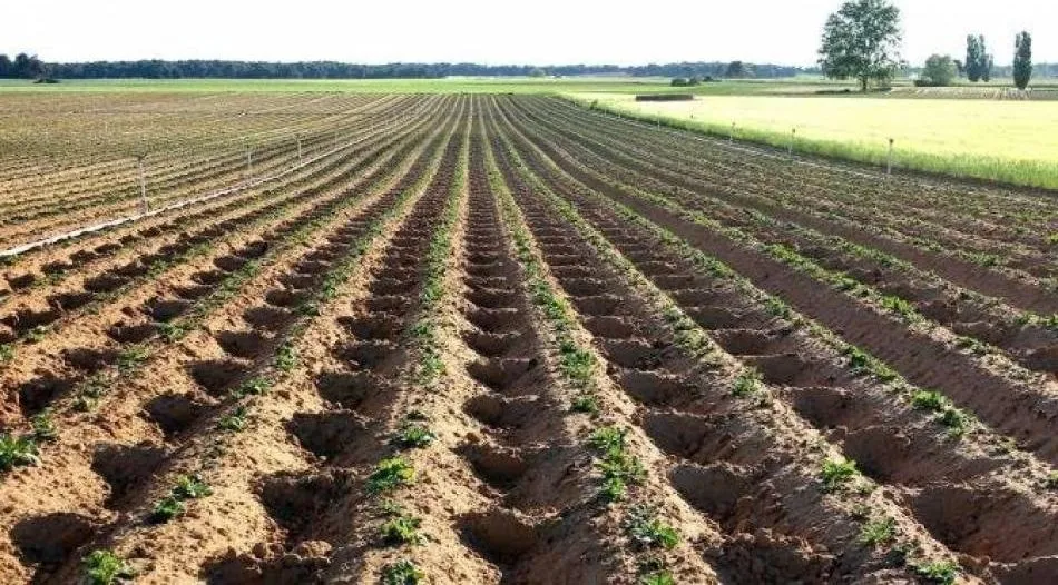 Las comunidades de usuarios de aguas subterráneas, el instrumento para planificar una explotación racional de los acuíferos