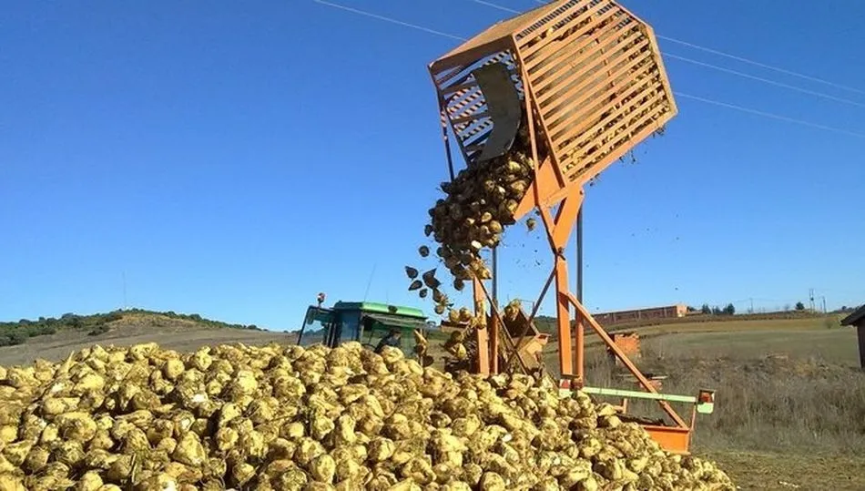 Las OPA`s recurrirán al Arbitraje si Azucarera no rectifica su decisión