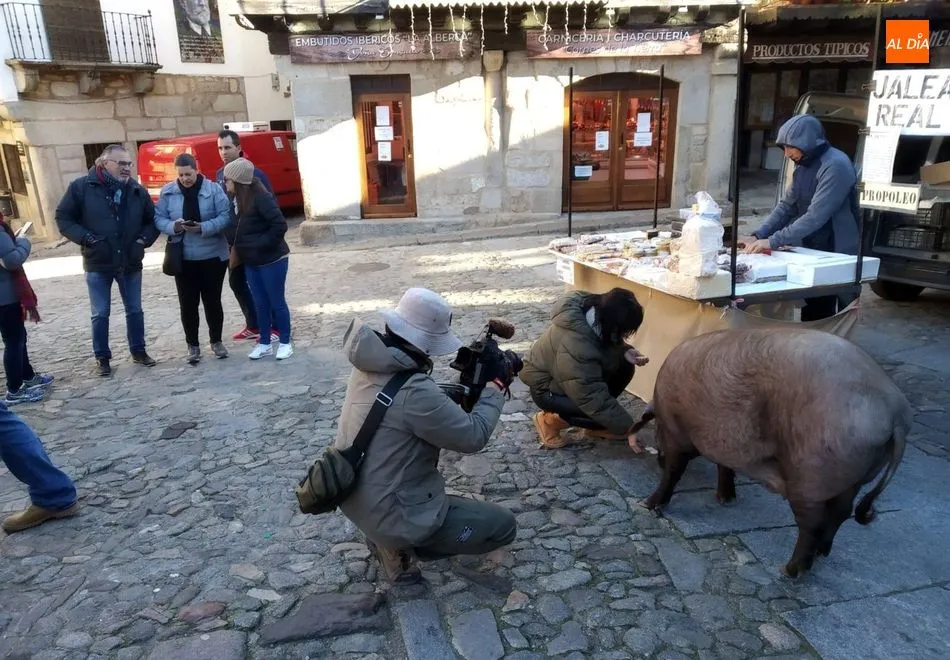 Los reporteros coreanos conocieron al marrano de San Antón en La Alberca