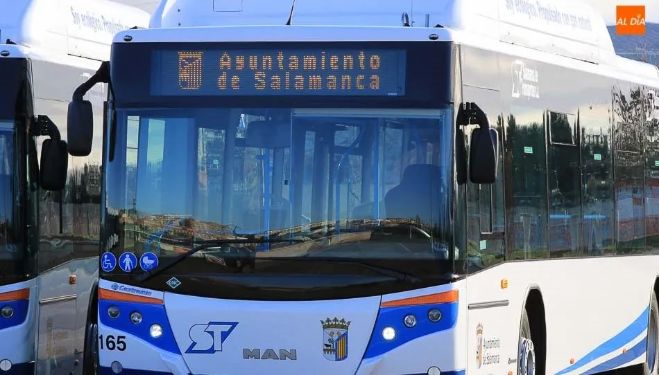 Este grupo estará abierto a la participación de todos aquellos colectivos que realizaron propuestas al Plan de Movilidad Urbana Sostenible