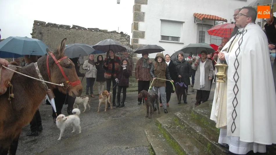 El sacerdote Miguel Ángel García bendijo a los animales a las puertas de la ermita de San Lorenzo / SILVESTRE