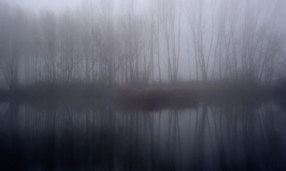 Y de repente, el silencio  