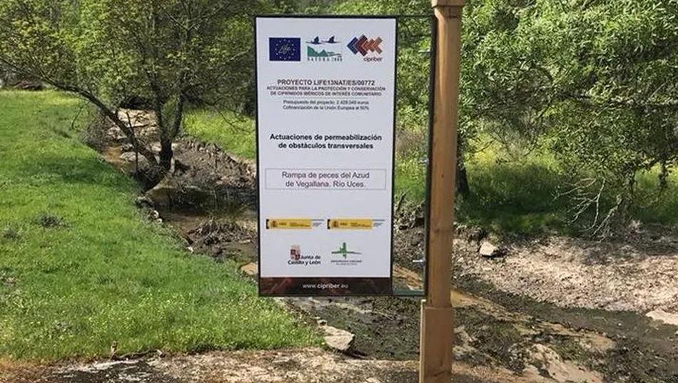 Rampa para peces en el río Uces